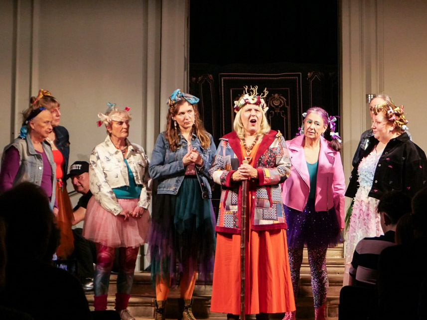 Fairies and their queen